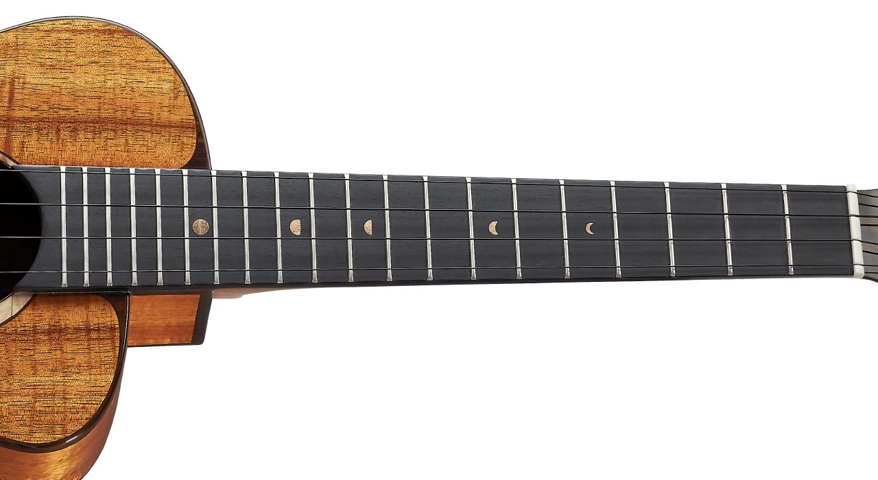 aNueNue aNueNue 彩虹人 烏克麗麗 UT3K 26吋 夏威夷相思木 全單板 Bird 鳥烏克系列 第 6 張圖片｜三峽烏克麗麗