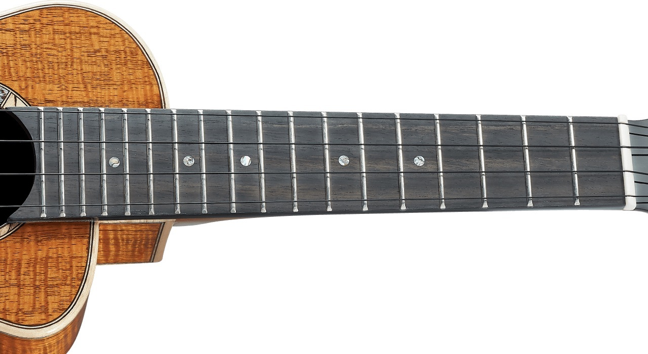 aNueNue aNueNue 彩虹人 烏克麗麗 US5K 21吋 夏威夷相思木 全單板 Bird 鳥烏克系列 第 6 張圖片｜三峽烏克麗麗