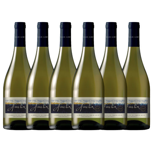 Concha y Toro Amelia Chardonnay 2022 - 6 Bottle Pack