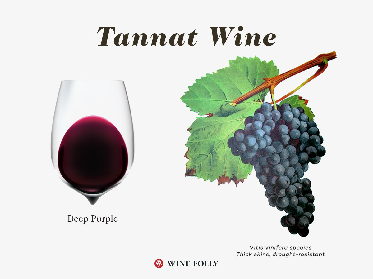 Tannat Grape