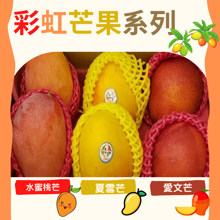 彩虹芒果系列 愛文芒x2 夏雪芒x2 水蜜桃芒x2 約2 5 2 7kg L 一次過試哂3款芒果l 市場
