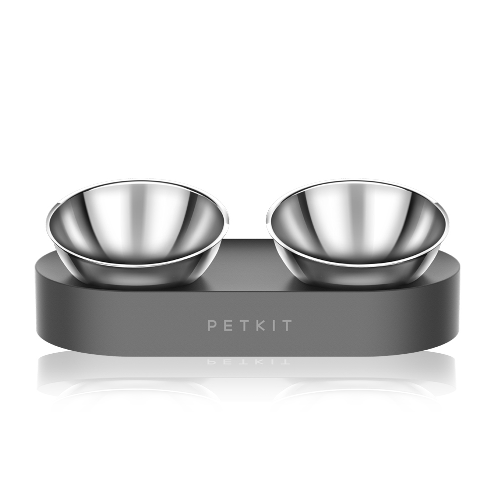 寵物15°可調式架高碗 (不鏽鋼/雙口)