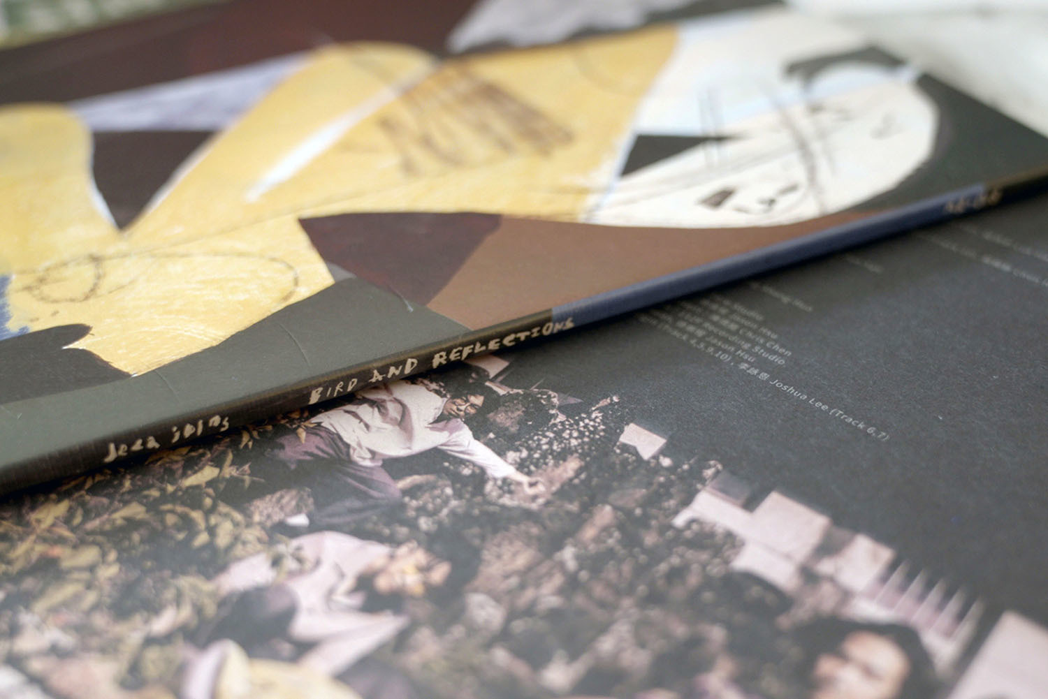 deca joins 《 鳥鳥鳥Bird and Reflections 》（彩膠LP）