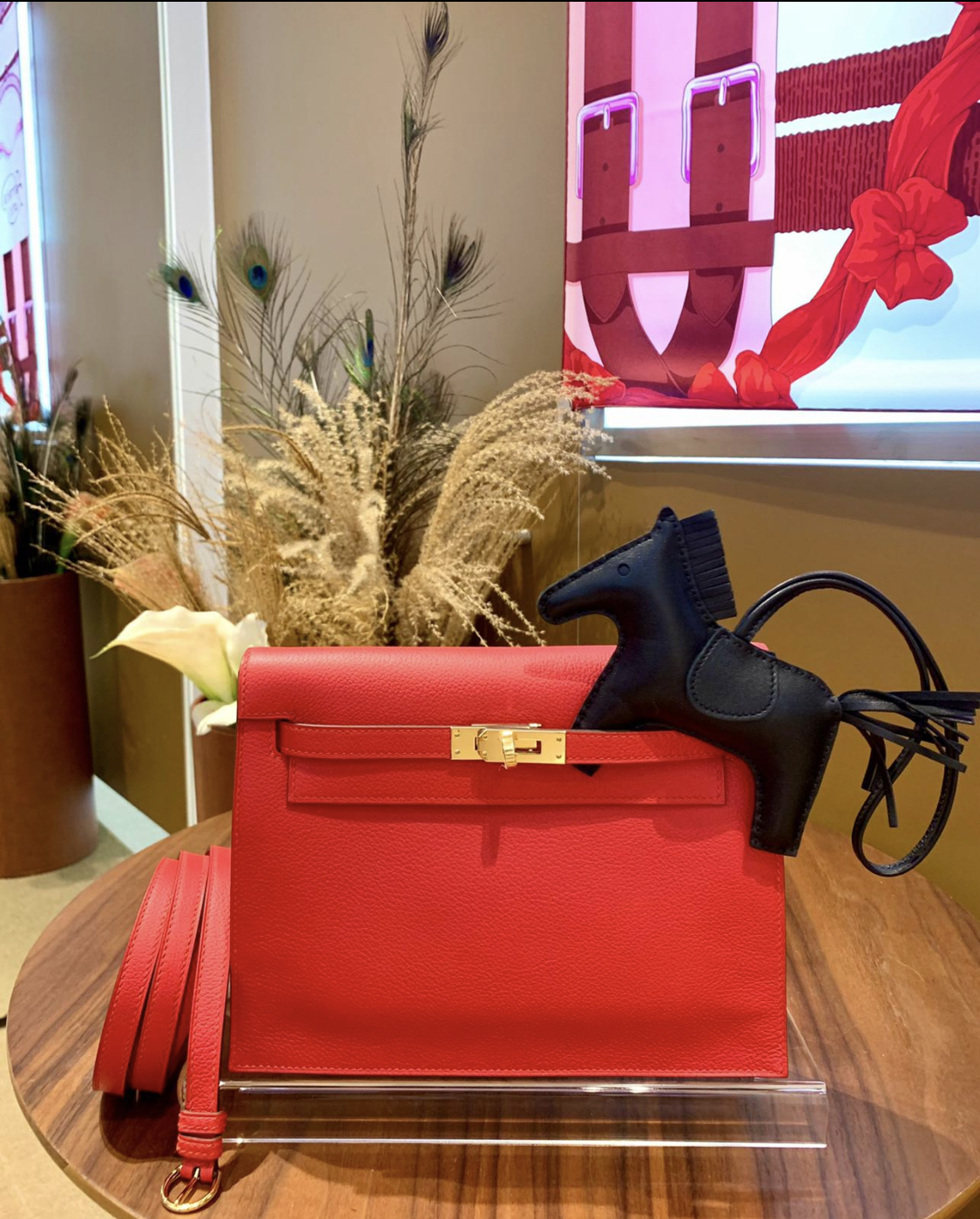 Kelly danse S3 rouge de coeur cc evercolor W