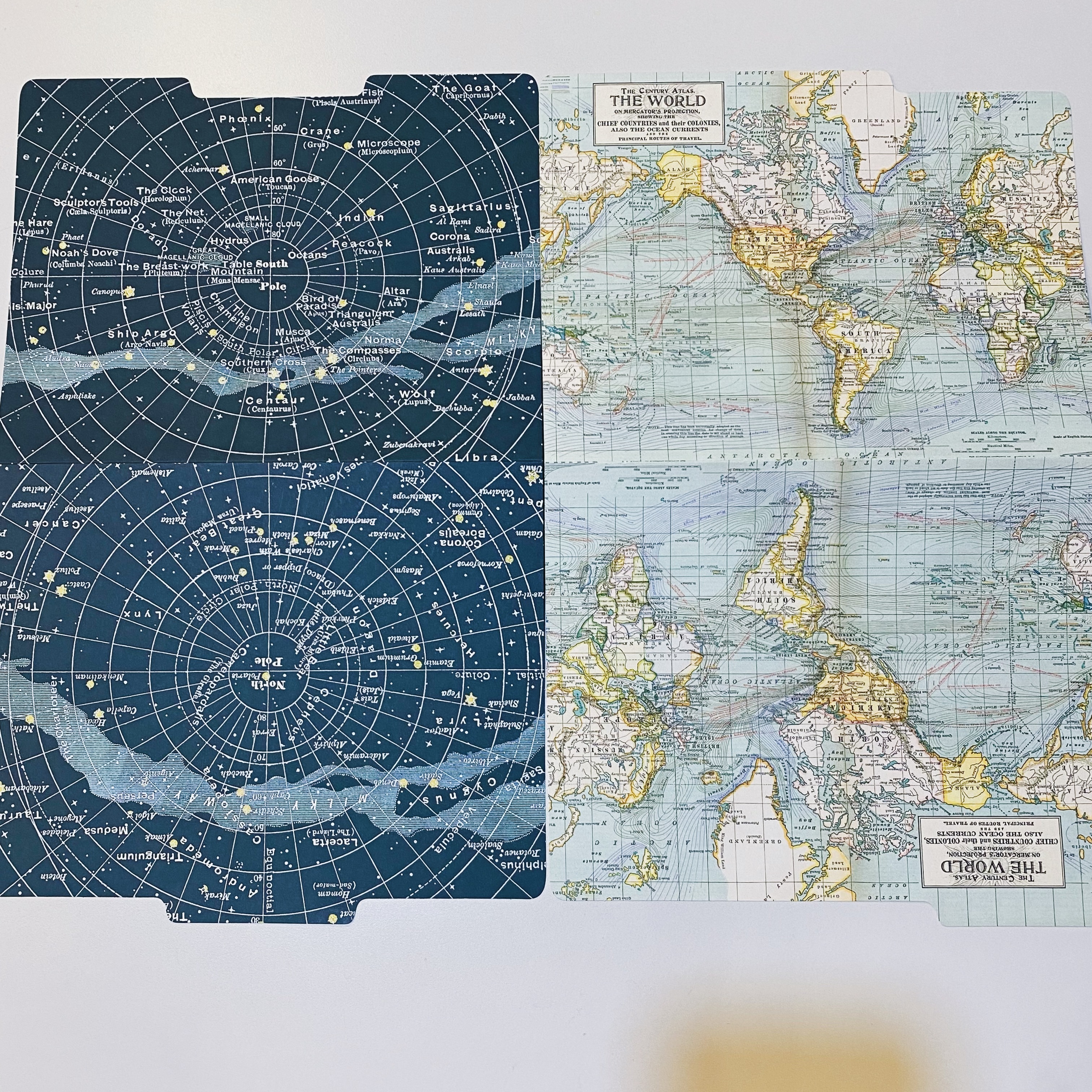 Cavallini 紙質文件夾/大卡片