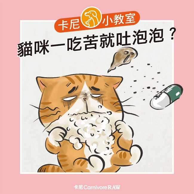貓咪一吃苦就吐泡泡的原因