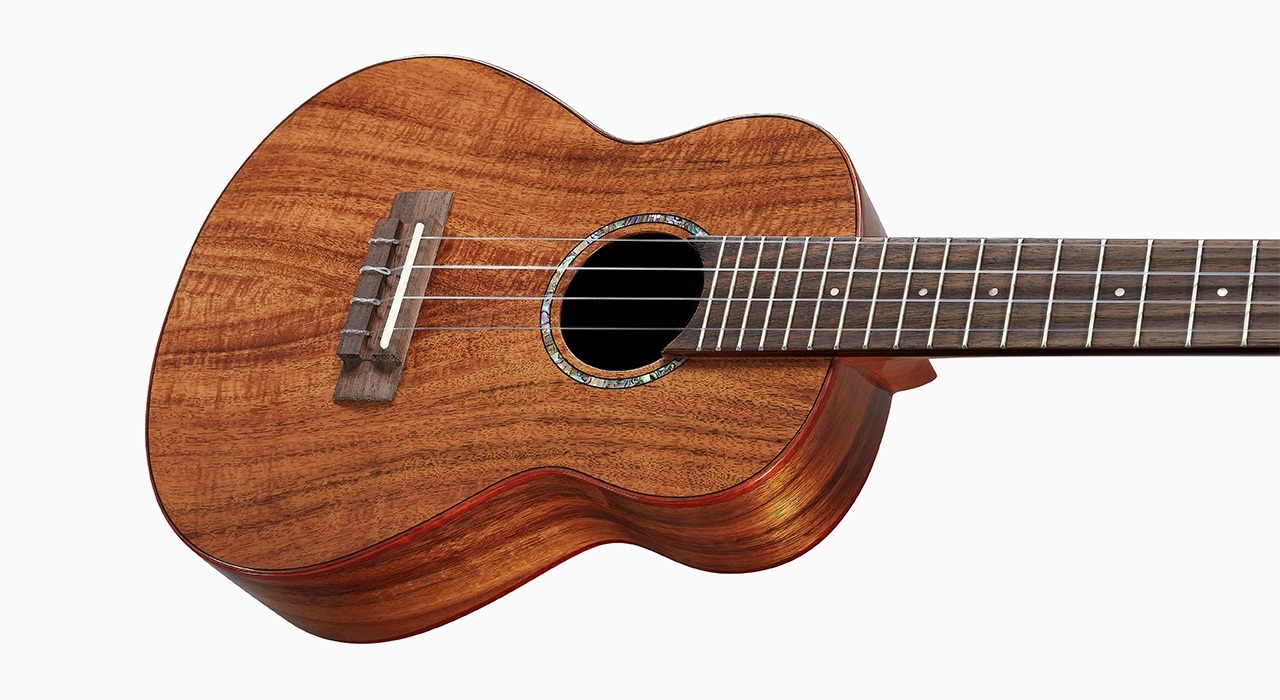 aNueNue 彩虹人 烏克麗麗 AC60 23吋 台灣相思木 全單板 Hawaiian Dream 夏威夷夢系列 圖 4