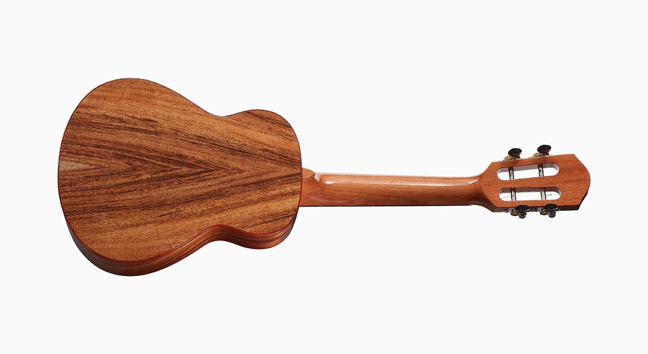 aNueNue 彩虹人 烏克麗麗 AC60 23吋 台灣相思木 全單板 Hawaiian Dream 夏威夷夢系列 圖 3