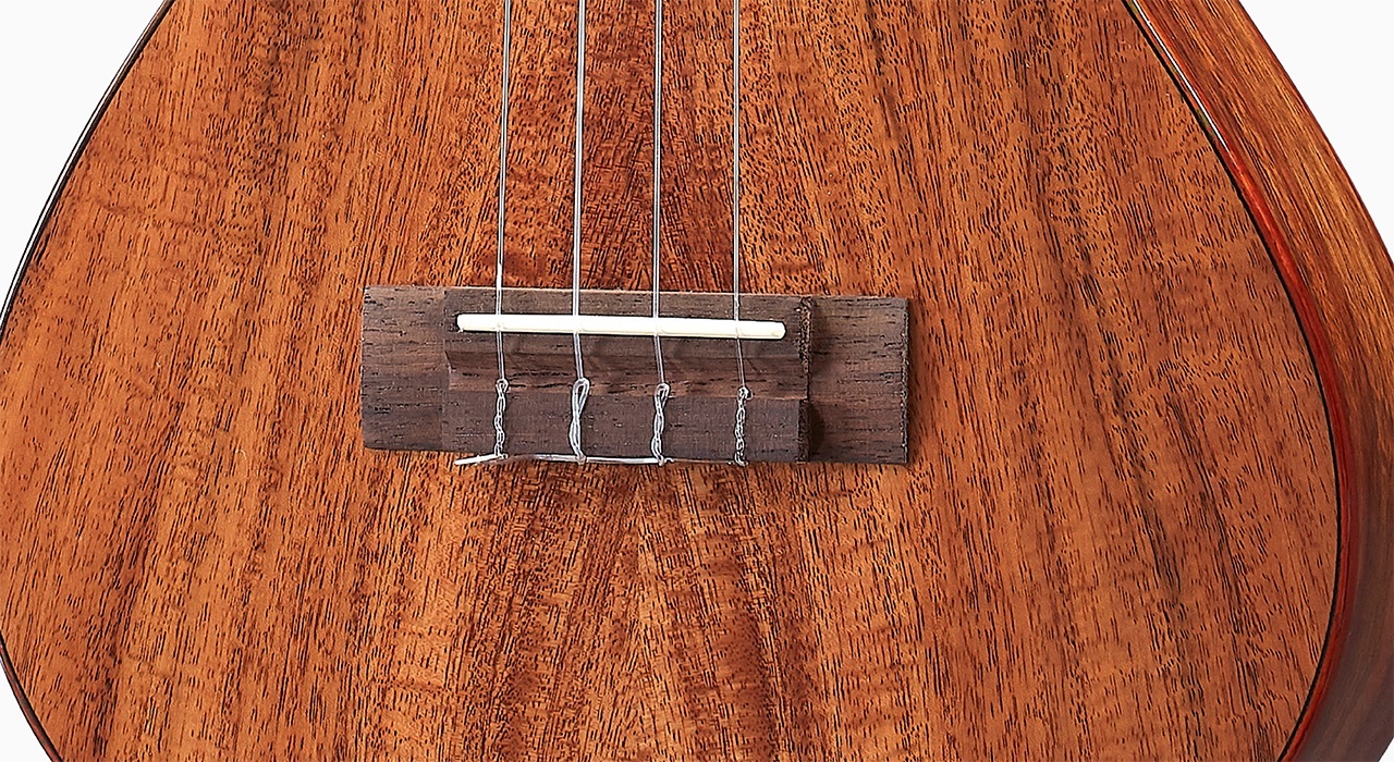 aNueNue 彩虹人 烏克麗麗 AC60 23吋 台灣相思木 全單板 Hawaiian Dream 夏威夷夢系列 圖 6