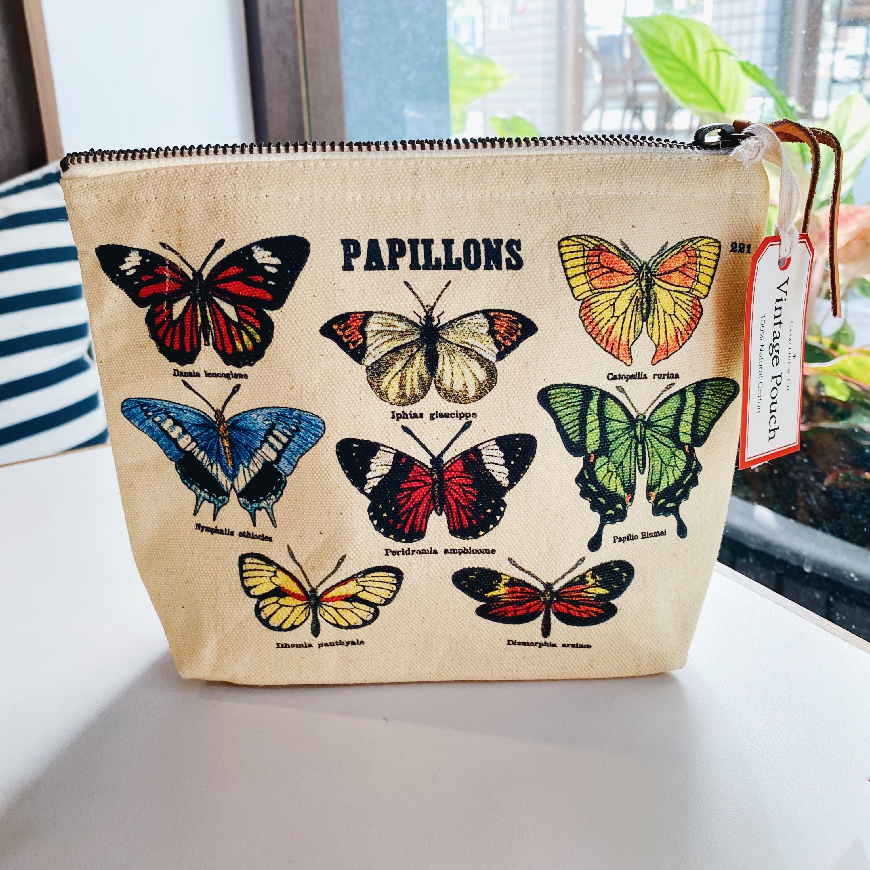 Cavallini 蝴蝶款 收納包 化妝包