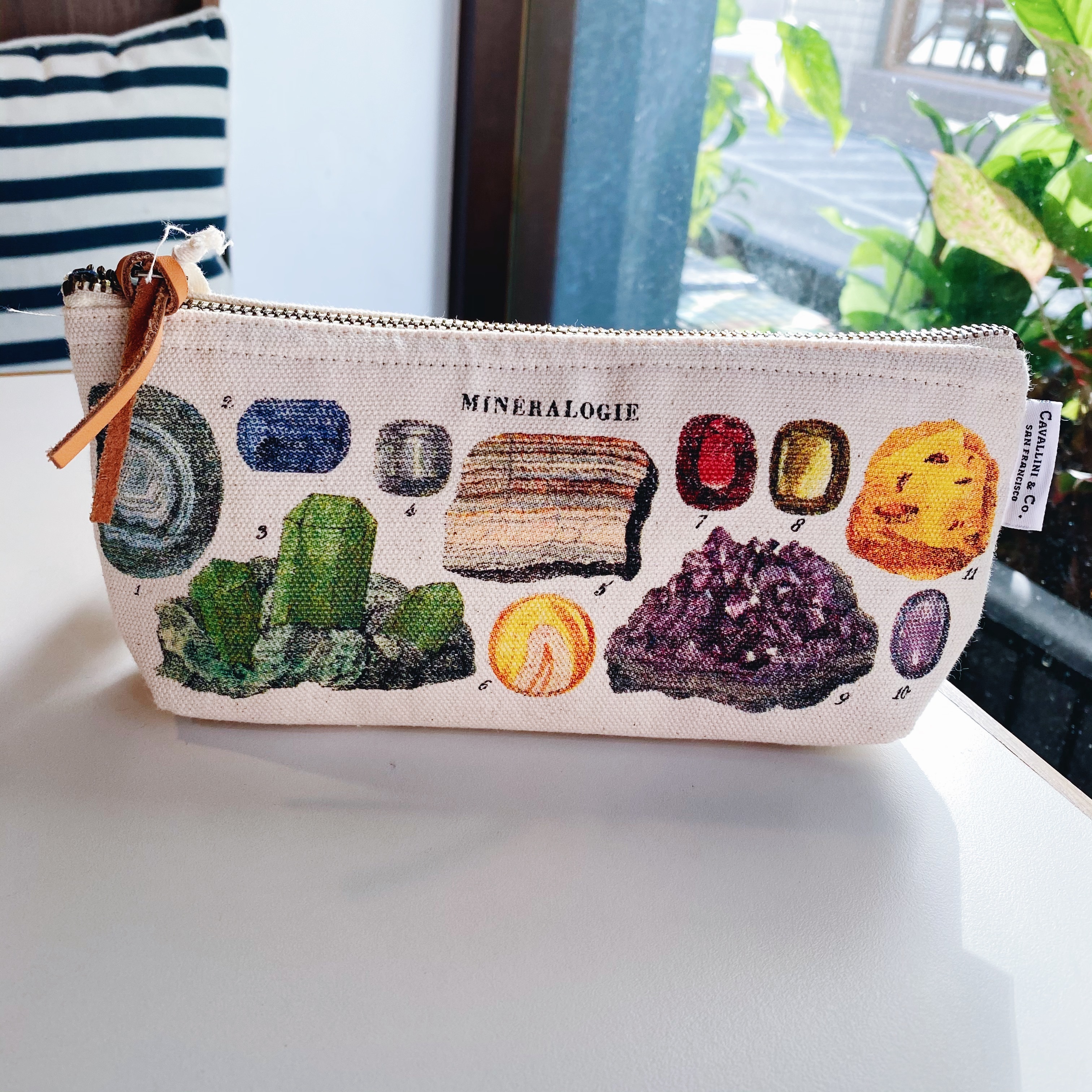 Cavallini 筆袋 收納袋 礦石款