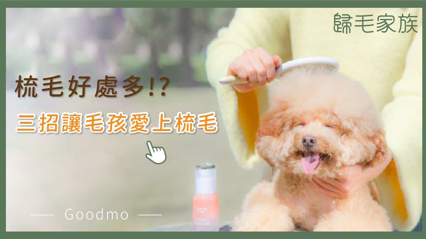 【歸毛家族GoodMo】寵物的沐浴養護，潔淨美學