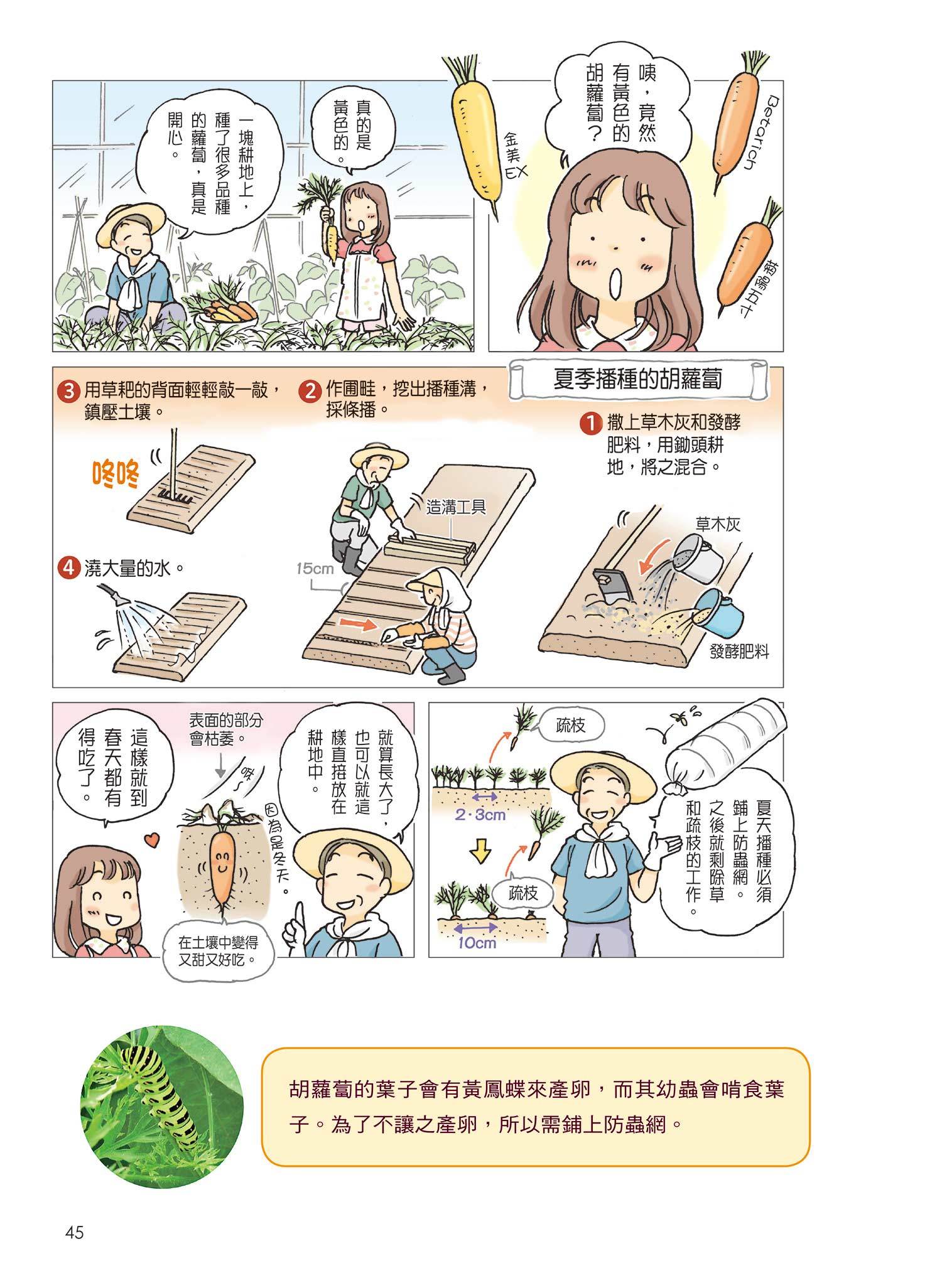 [任選五本$999] 園藝天地系列 : 圖解新鮮蔬菜自己種