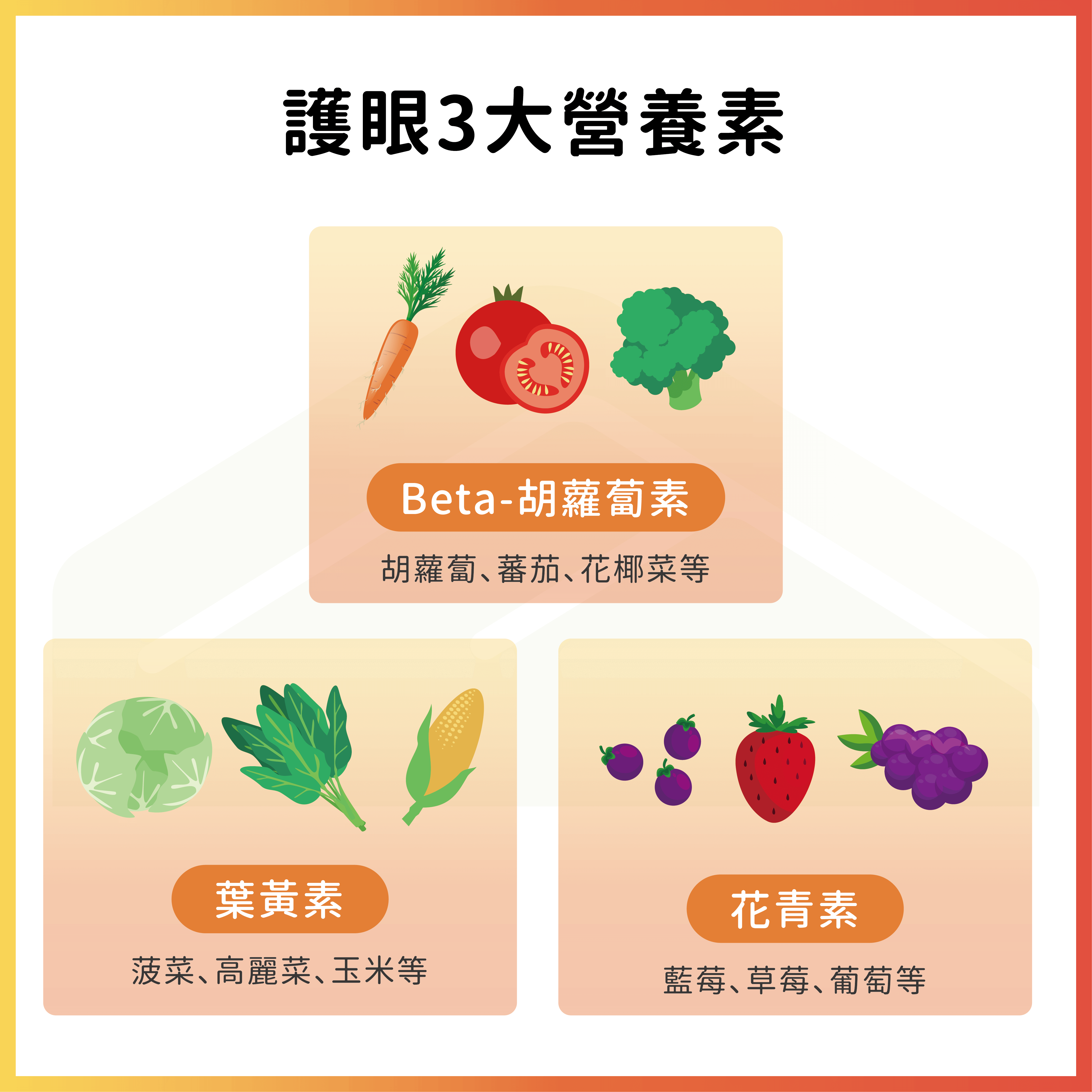 護眼3大營養素 胡蘿蔔素 葉黃素 花青素