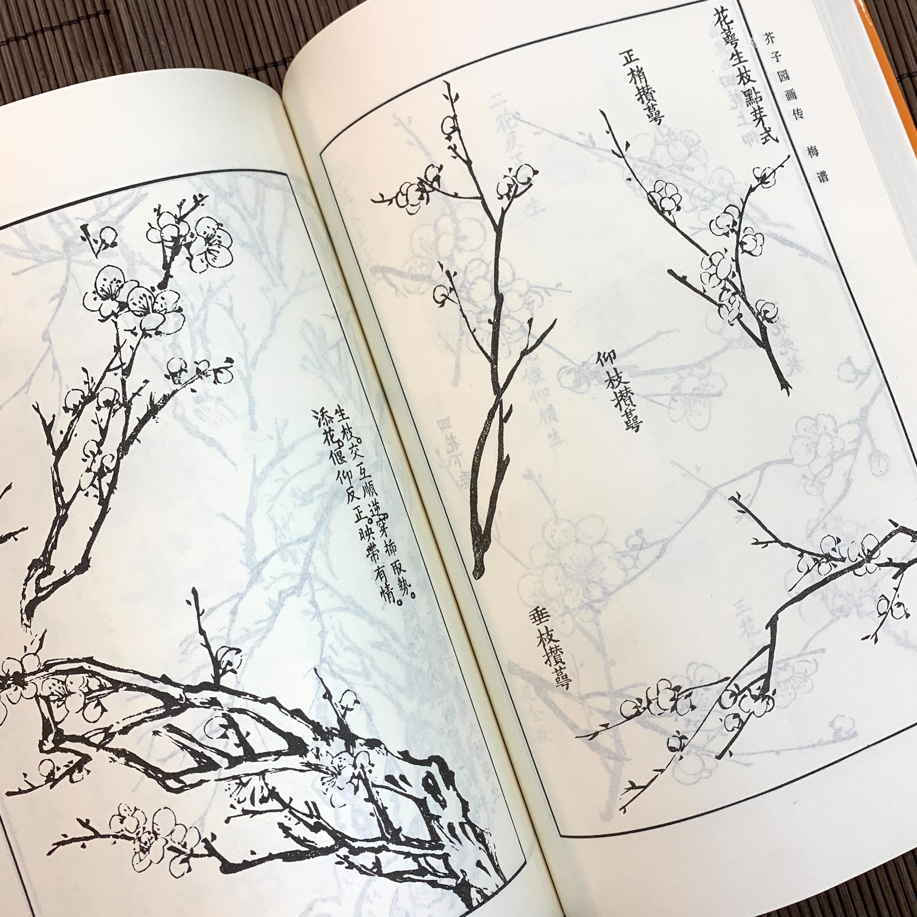 芥子園畫傳第二集‧蘭竹梅菊(巢勛臨本) 芥子園畫傳第二集‧蘭竹梅菊(巢勛臨本)