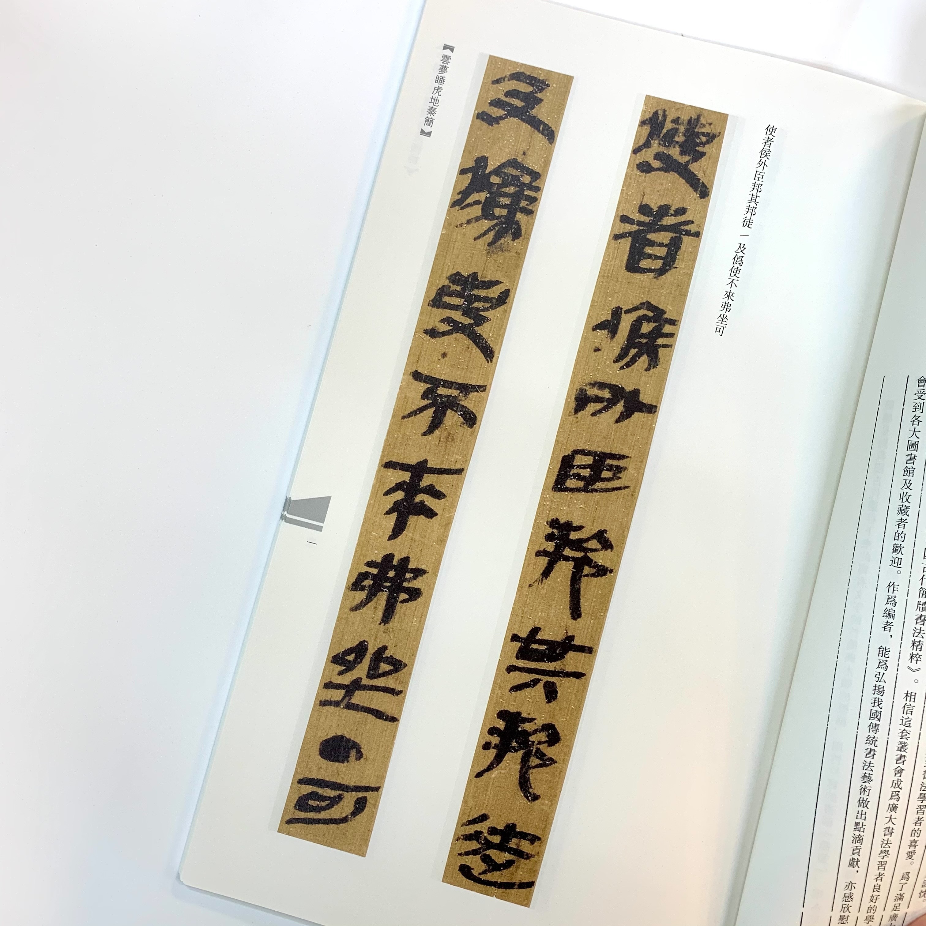 中國古代簡牘書法精粹:雲夢睡虎地秦簡