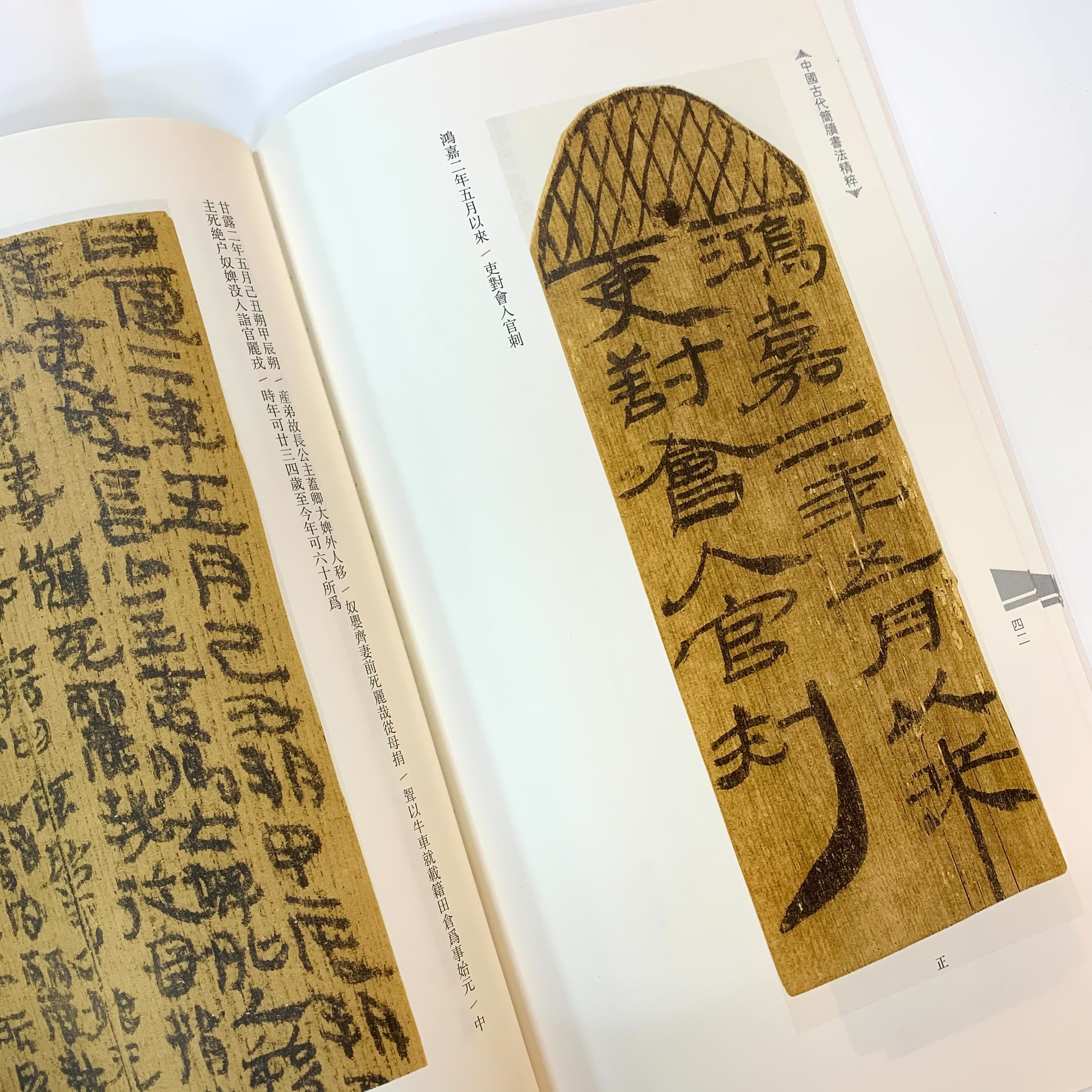 中國古代簡牘書法精粹:居延前漢簡