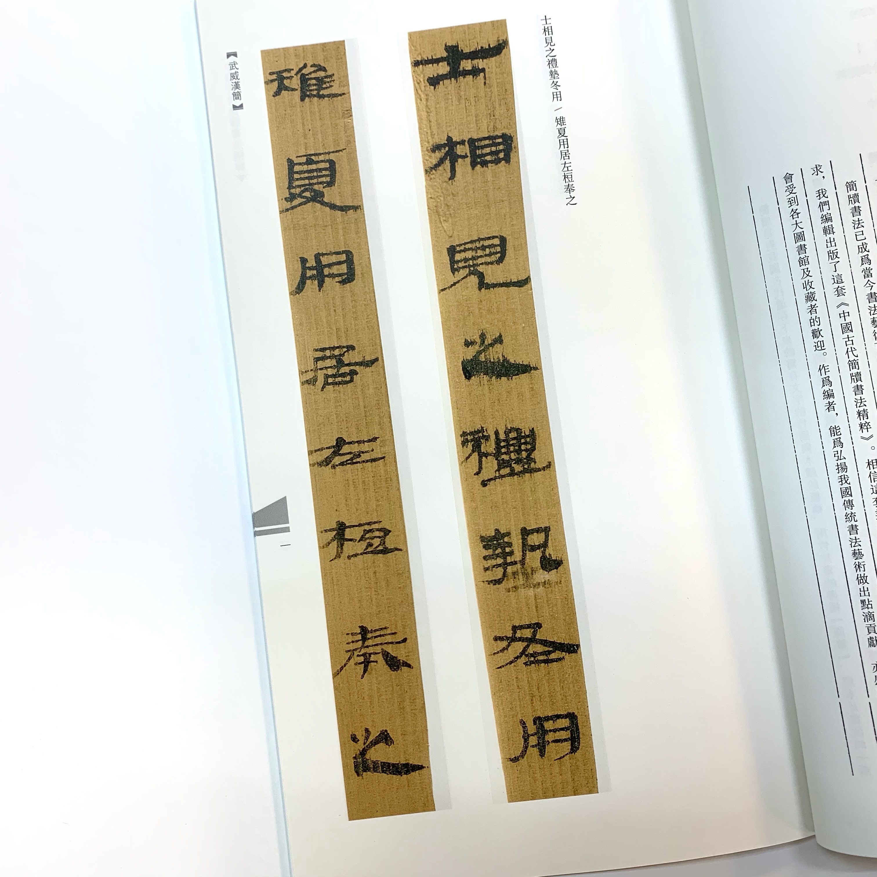 中國古代簡牘書法精粹:武威漢簡