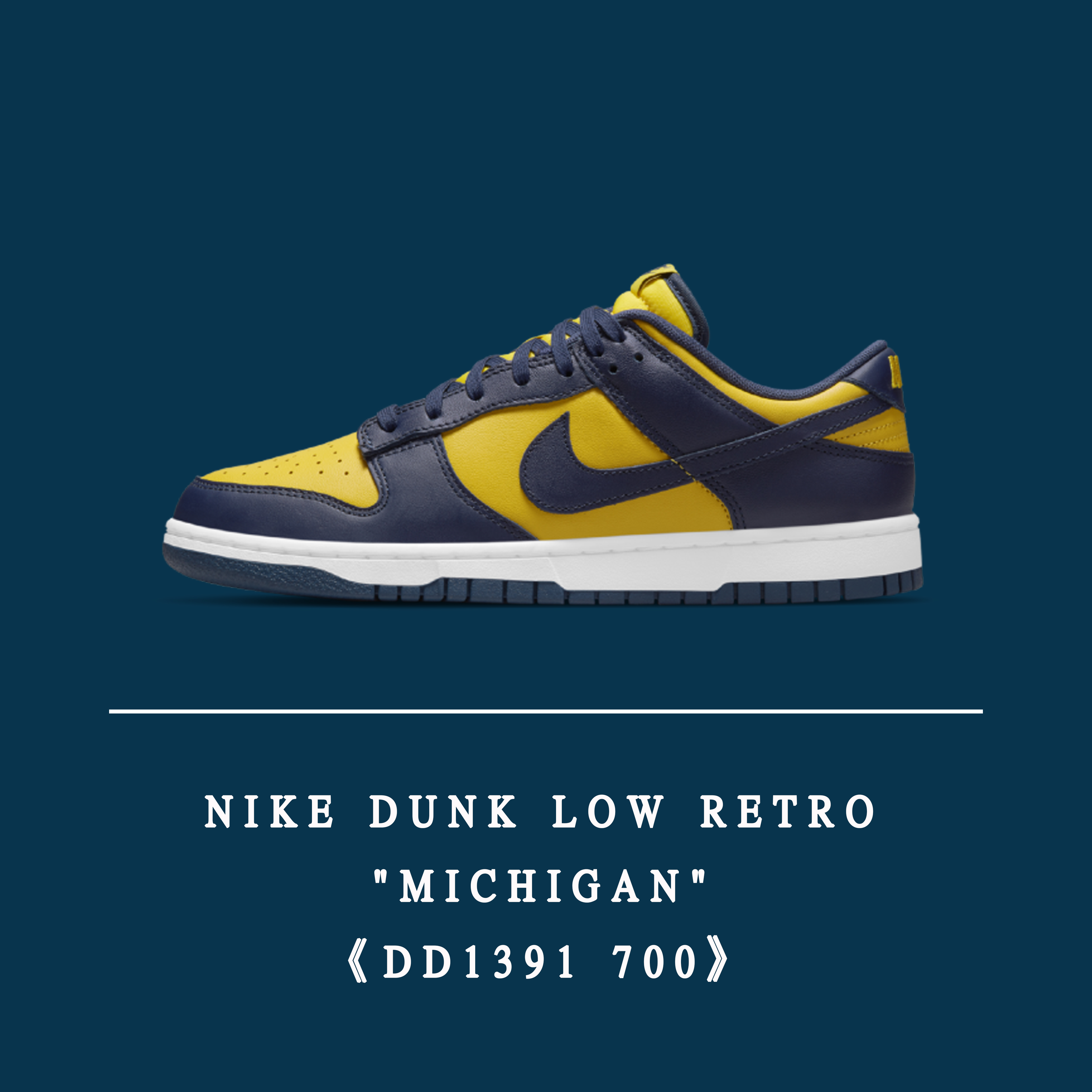 預購-NIKE DUNK LOW RETRO 