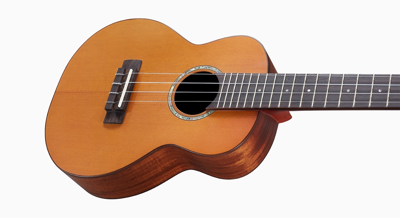 aNueNue aNueNue 彩虹人 烏克麗麗 C4 23吋 紅松木/台灣相思木 面單板 Hawaiian Dream 夏威夷夢系列 第 4 張圖片｜三峽烏克麗麗