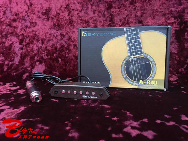 SkySonic SkySonic A-810 木吉他 被動式拾音器 第 2 張圖片｜三峽吉他 / Bass