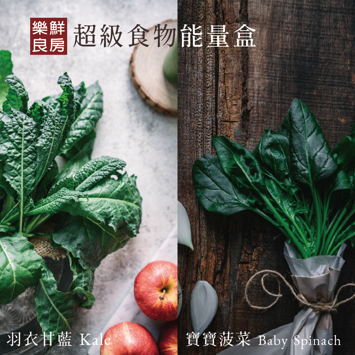 健身餐菜單食材推薦！料理備餐好容易，落實飲食計畫so easy-樂鮮良房