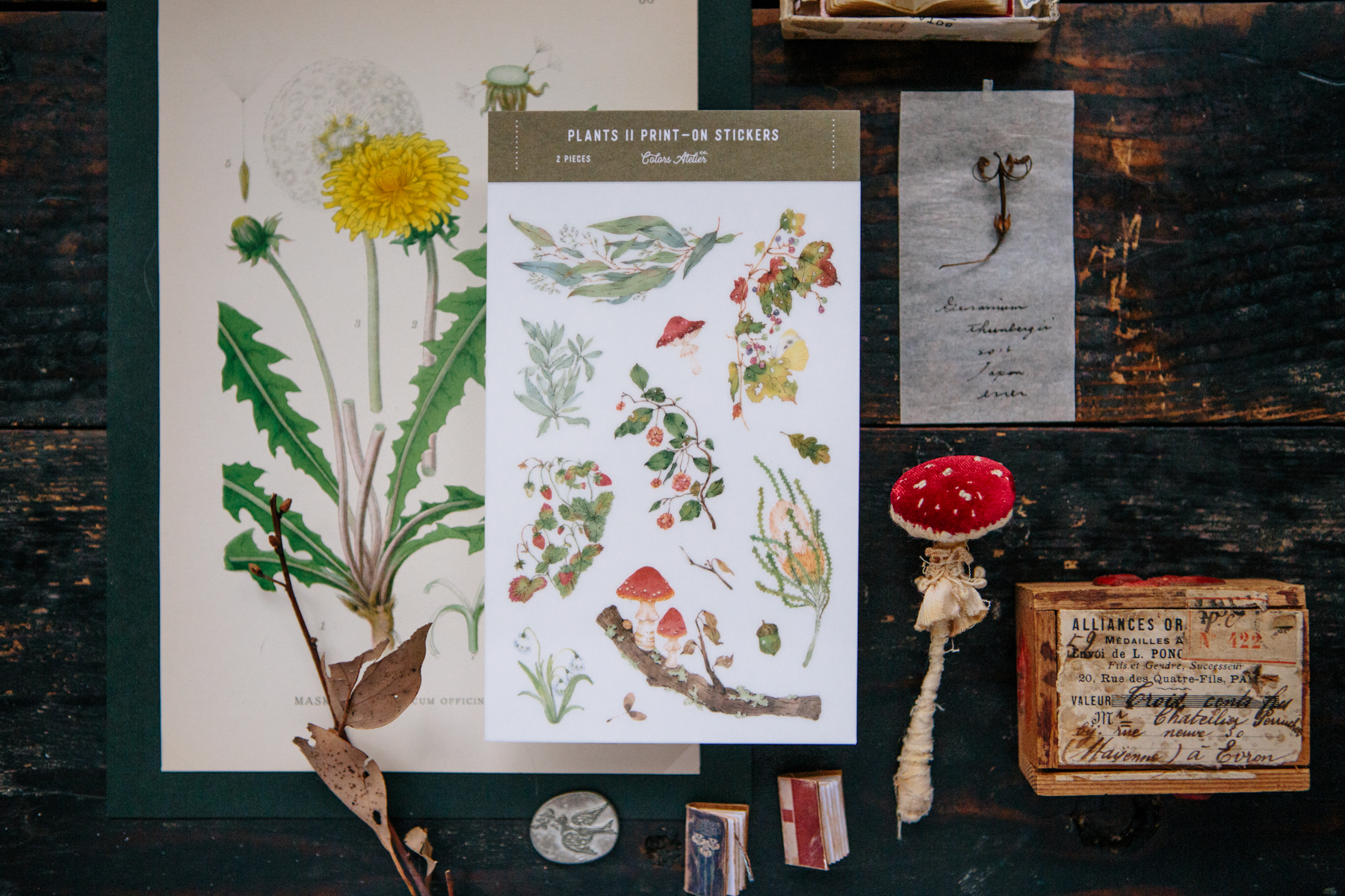 OURS 野地花草2 轉印貼紙