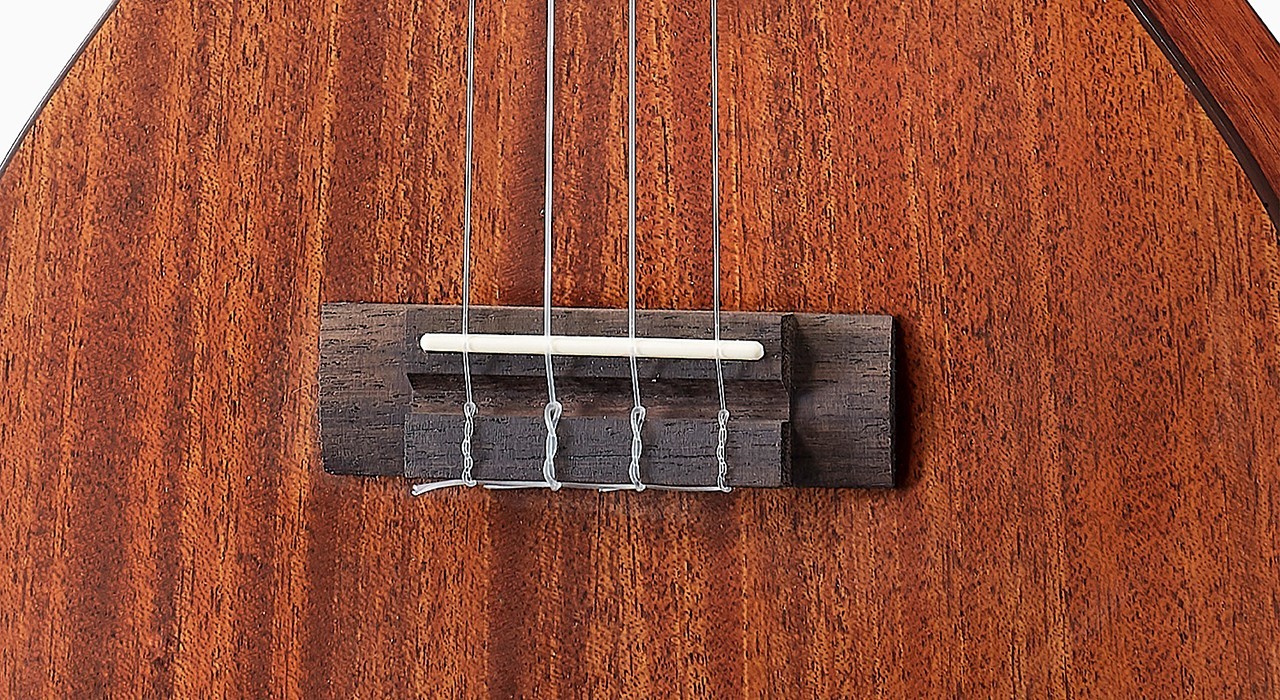 aNueNue aNueNue 彩虹人 烏克麗麗 C3 23吋 桃花心 面單板 Hawaiian Dream 夏威夷夢系列 第 6 張圖片｜三峽烏克麗麗