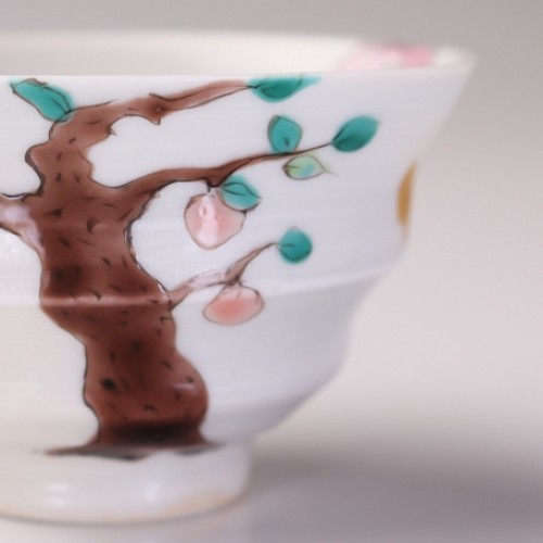 北井真衣 褲子 kita16-1 酒器 箱付 (超限量)