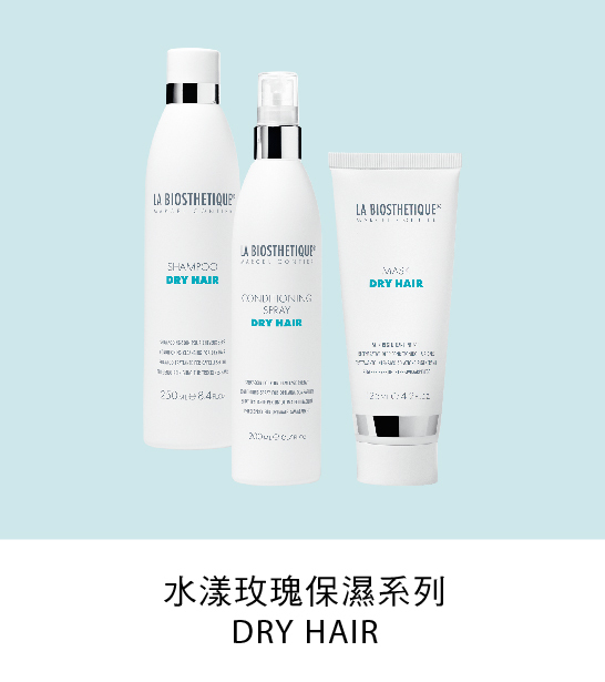 https://www.labiosthetique.com.tw/pages/hair-dry-hair