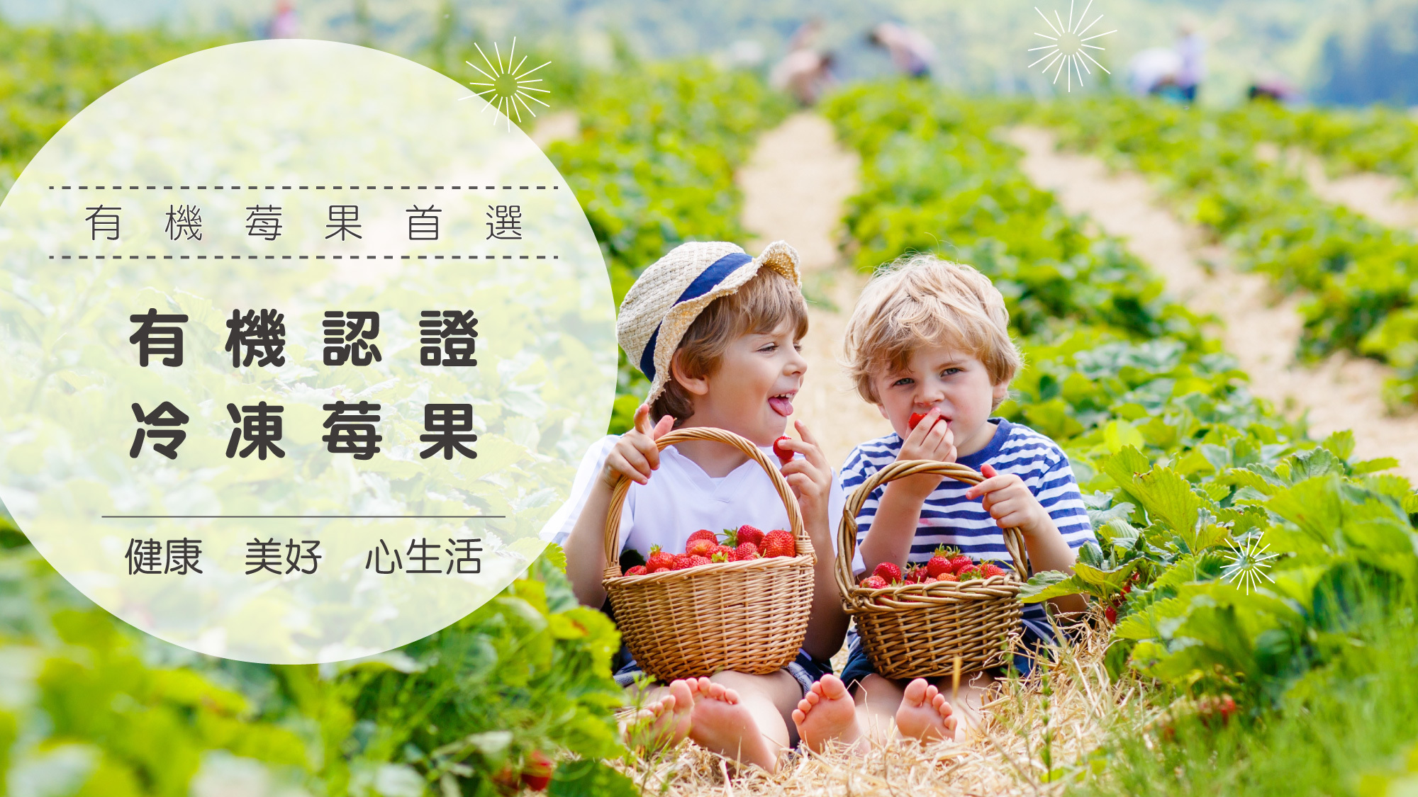 天時莓果逐批檢驗通過SGS 381項農藥殘存檢驗