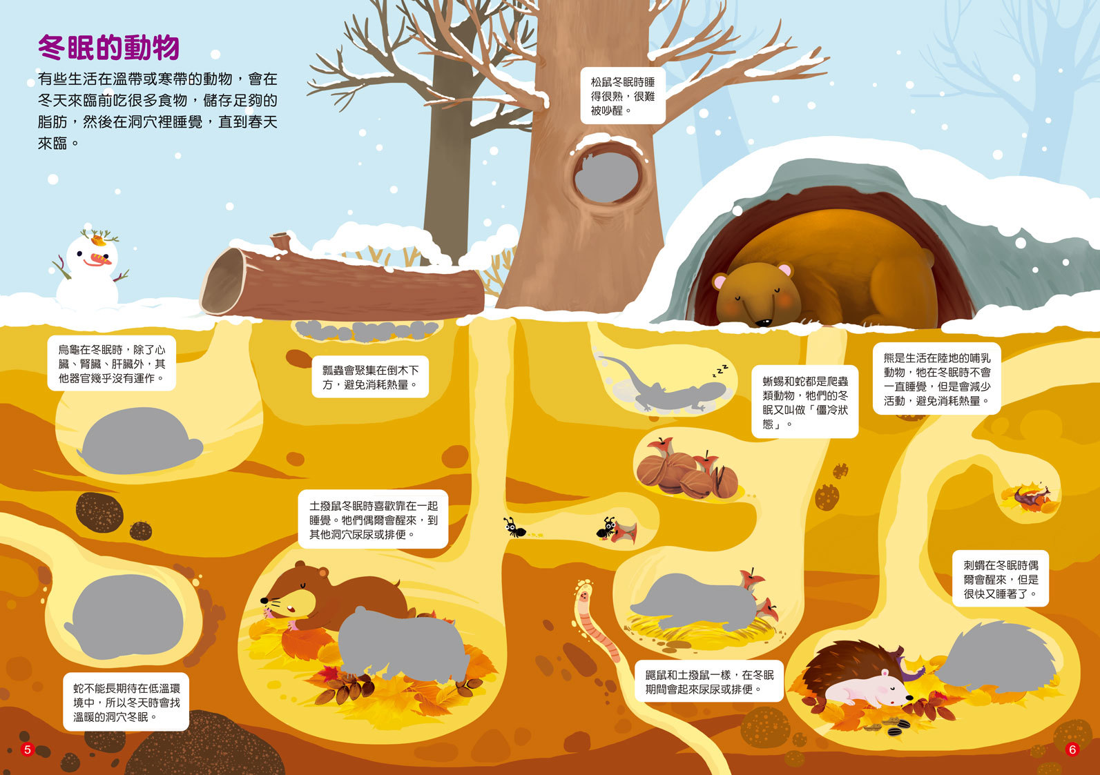 [任選12本999] 動物躲在地底下貼紙書