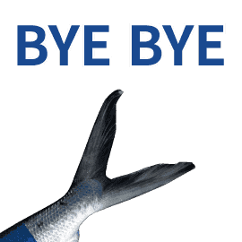 今天疫情確診人數……那我們來群聚好了