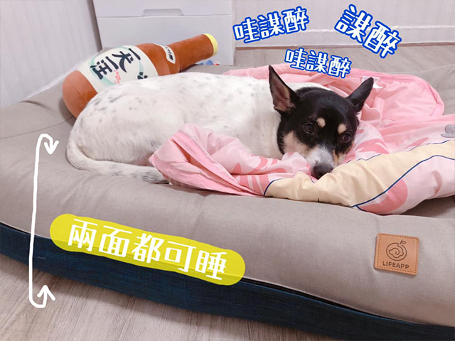 愛兒堡-犯婦黃雪梨