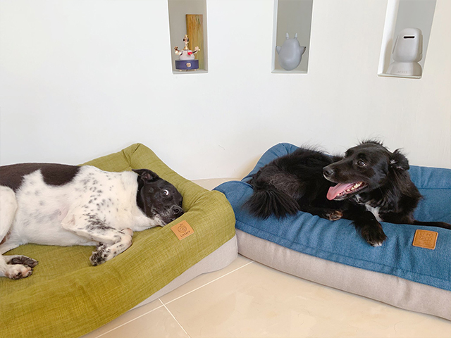 愛兒堡-TK奶爸日記2.0