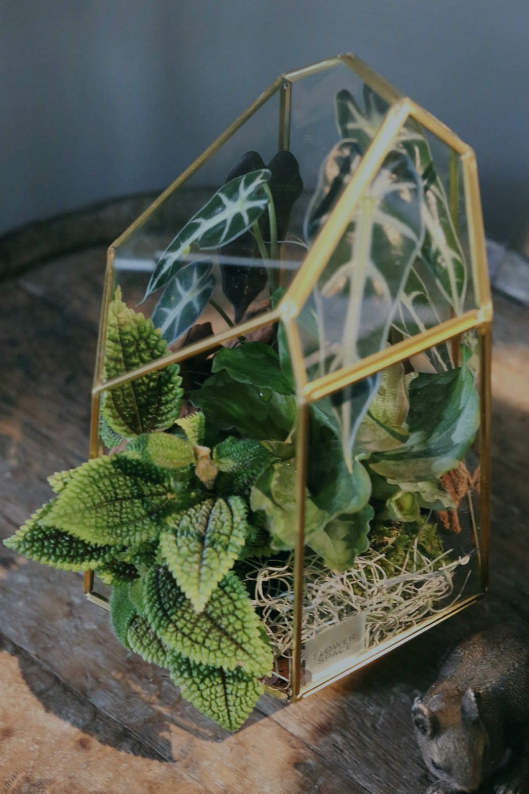 幾何玻璃金框植栽