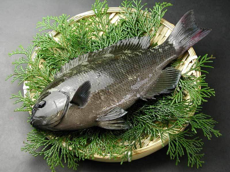 德華水產 メジナ目仁奈 500 800g 條