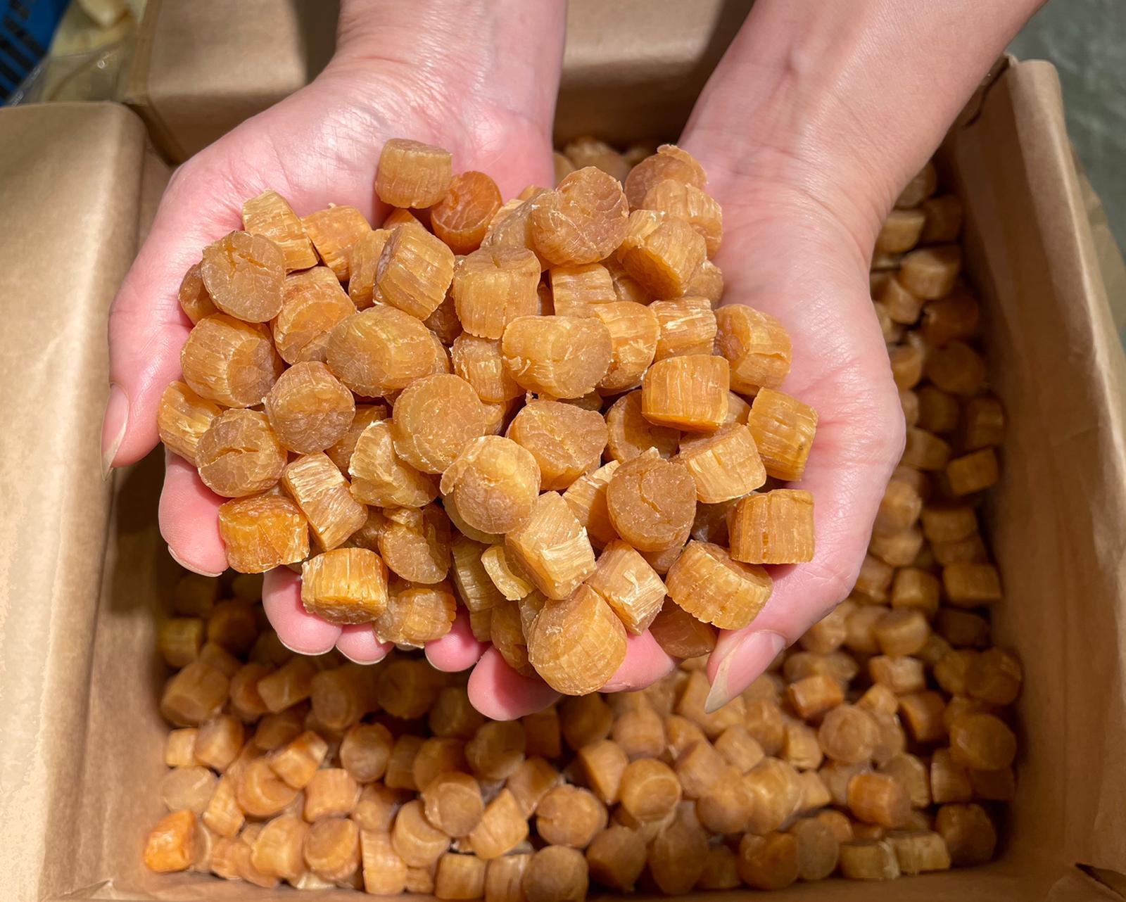 日本北海道元貝4S