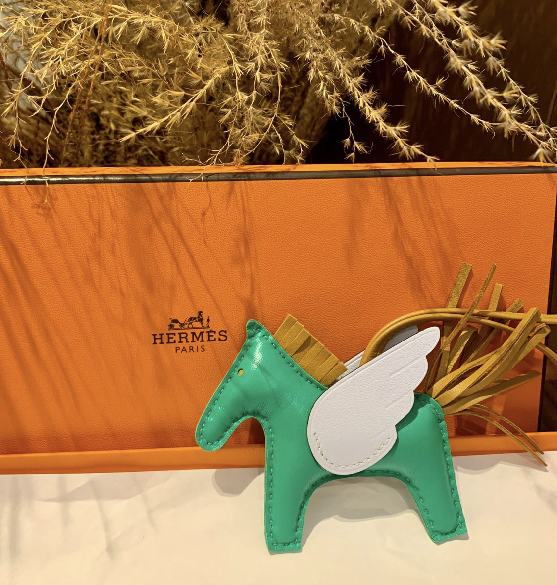 Rodeo pegase pm 6W vert menthe