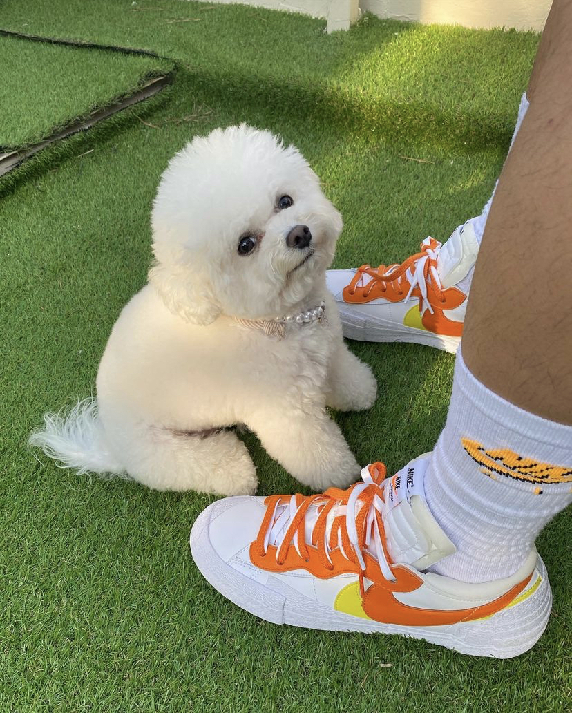 Sacai x Nike Blazer Low "Magma Orange"白橙解構