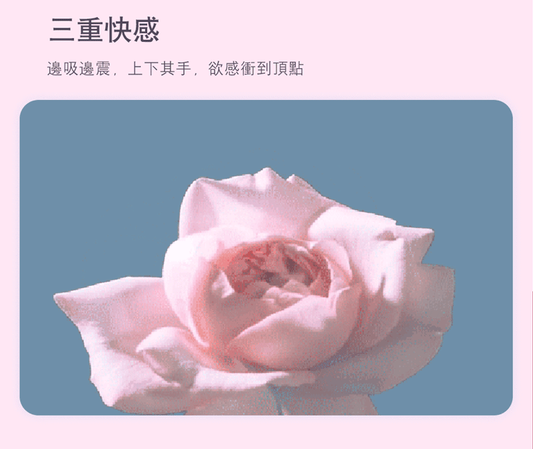 EROCOME Apus 天燕座