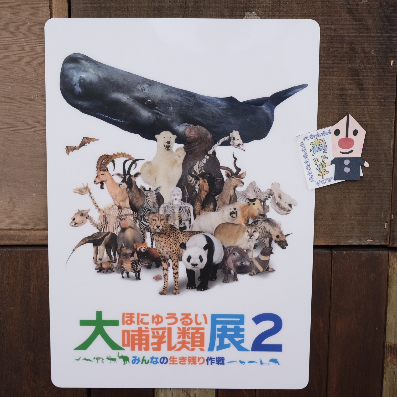 日本 東京 大哺乳類展2 展覽限定品展 (B5筆記本/B5墊板)