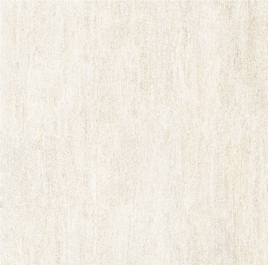 ELV6619