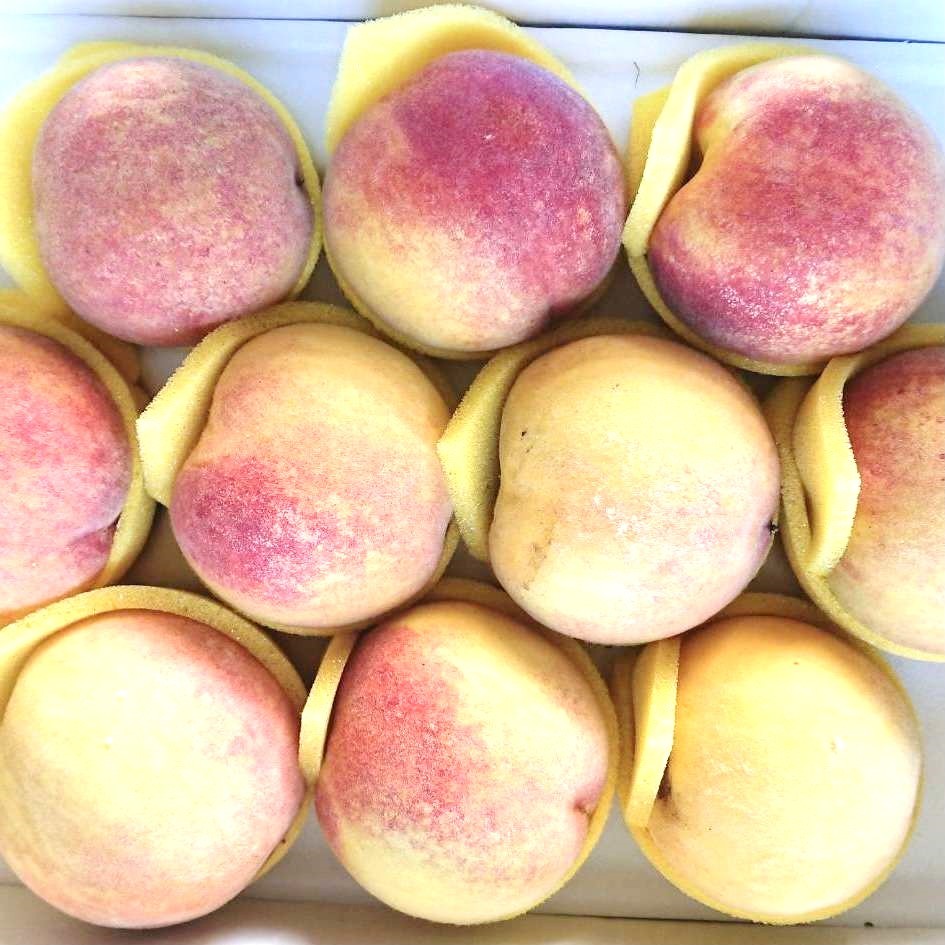 今年已完售，2026年見有呦😊【黃金桃禮盒】  新竹尖石水蜜桃 ｜鮮採直送