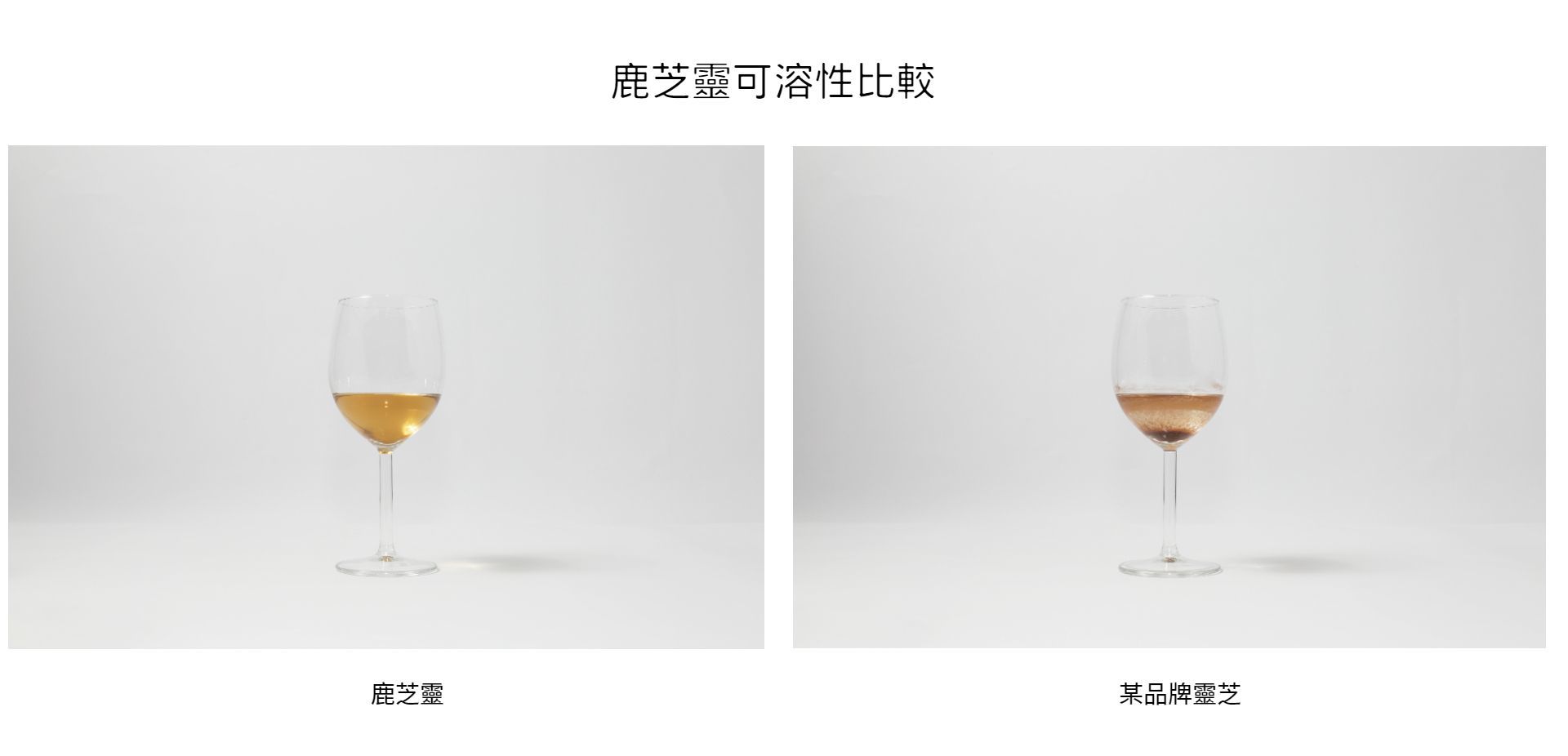gallop,ganoderma,lucidum,amboinense,騰泰堂,鹿角靈芝,納米,賴潮泰,鹿芝靈,寵芝靈,寵物,抗衰老,抗敏,免疫力, 腾泰堂,鹿角灵芝,纳米,赖潮泰,鹿芝灵,宠芝灵,宠物,免疫力