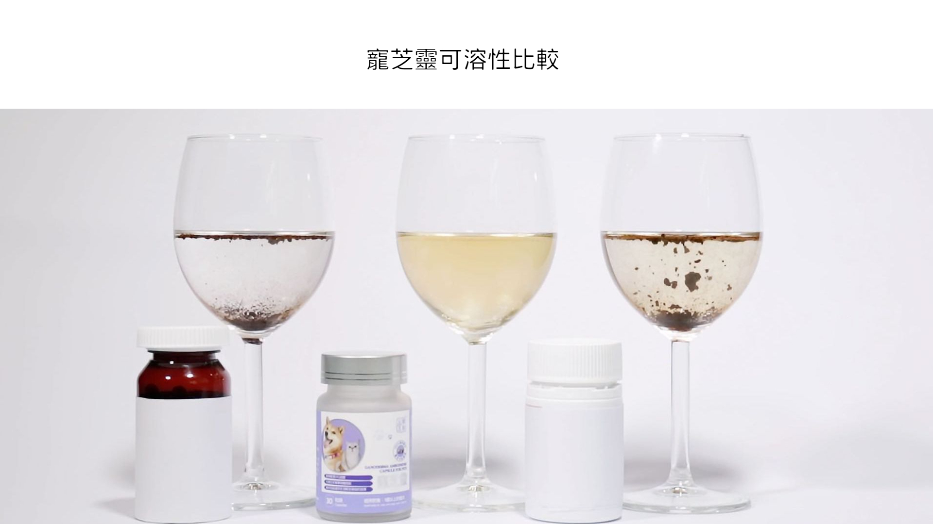 gallop,ganoderma,lucidum,amboinense,騰泰堂,鹿角靈芝,納米,賴潮泰,鹿芝靈,寵芝靈,寵物,抗衰老,抗敏,免疫力, 腾泰堂,鹿角灵芝,纳米,赖潮泰,鹿芝灵,宠芝灵,宠物,免疫力