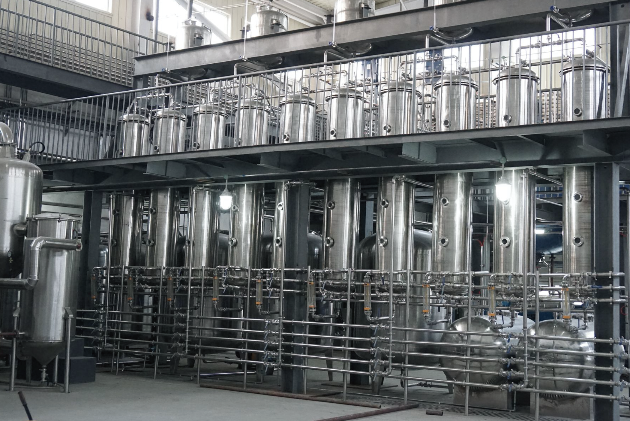 沙棘提煉，puredia沙棘