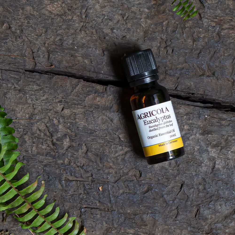 有機藍膠尤加利精油-20ml