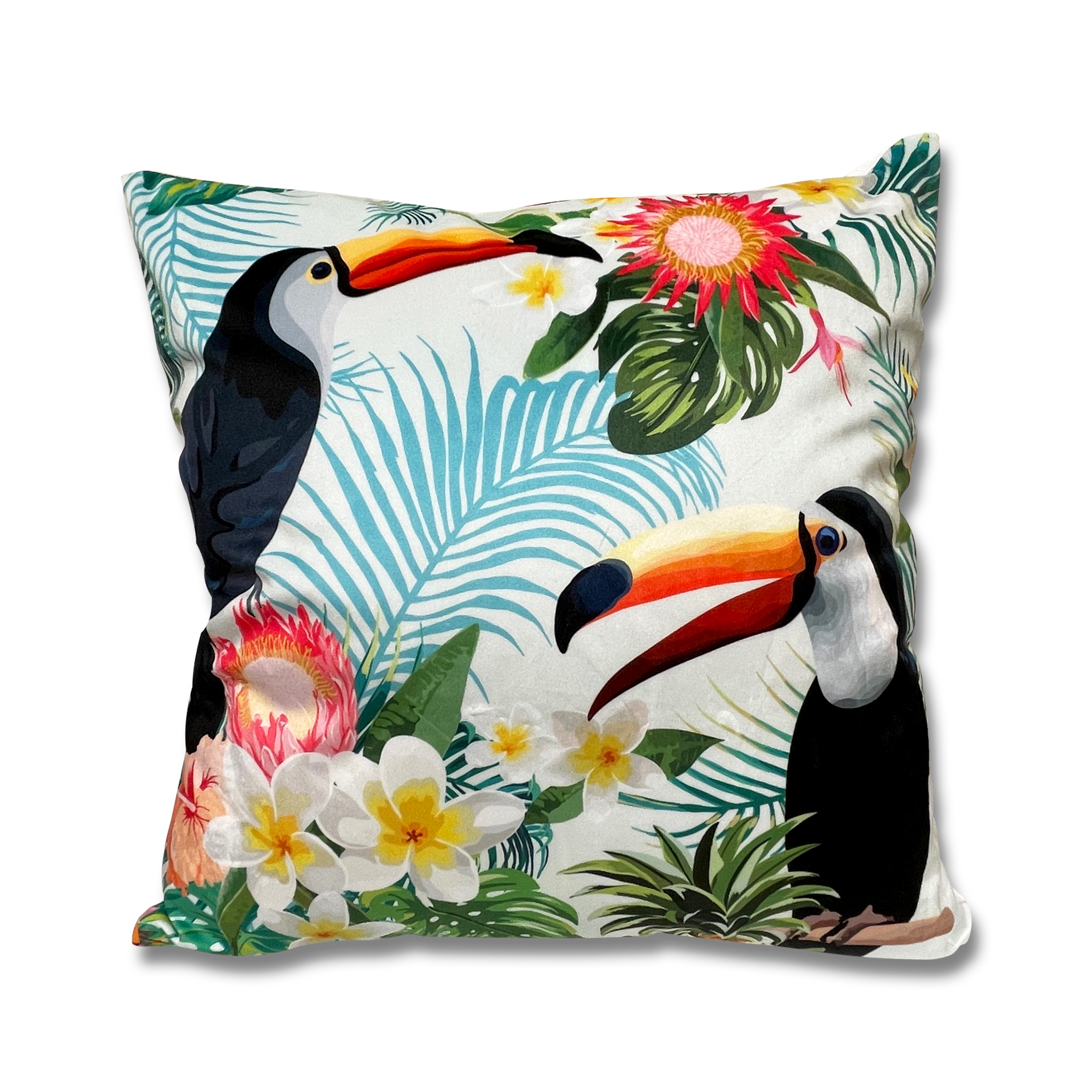 荷蘭絨咕𠱸套 (大嘴鳥)