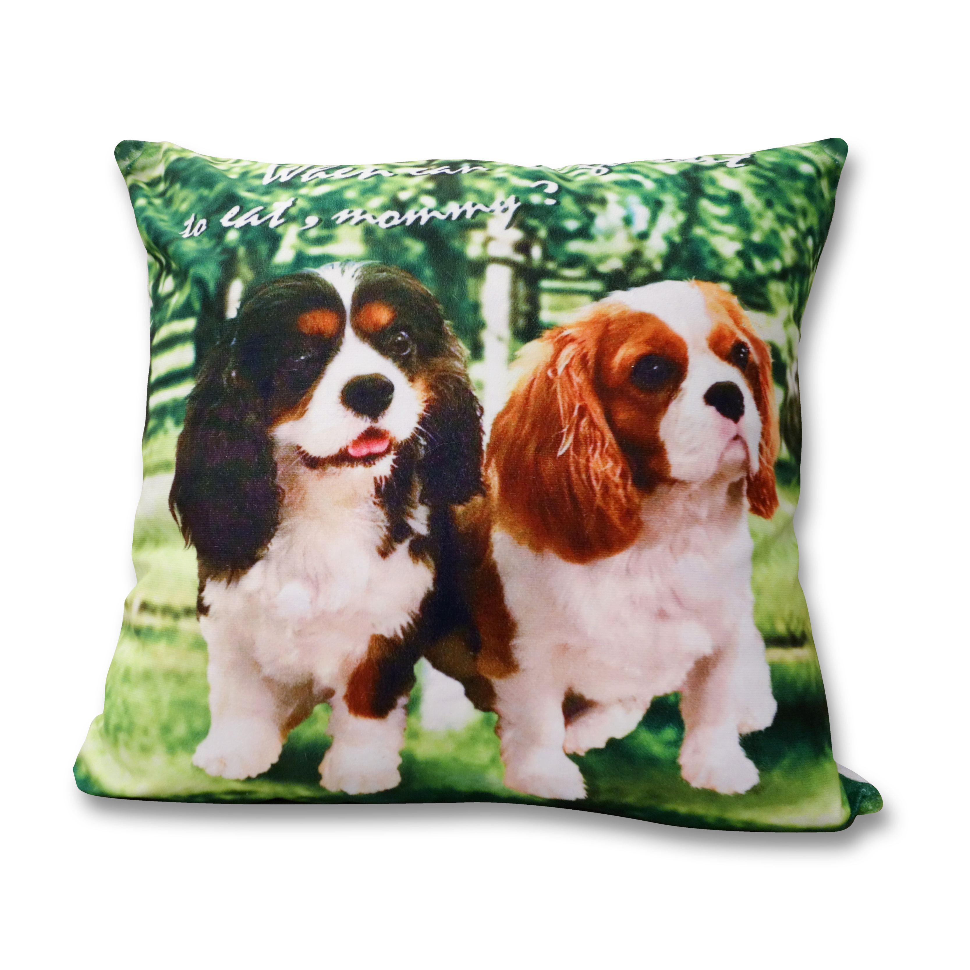 仿絨咕𠱸套 (等待主人的小狗)